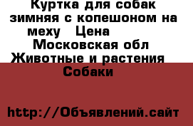 Куртка для собак зимняя с копешоном на меху › Цена ­ 1 300 - Московская обл. Животные и растения » Собаки   